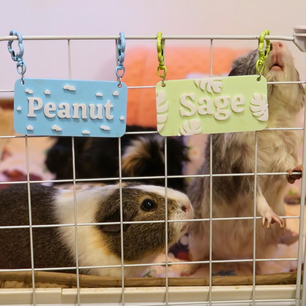 Personalized 3D Printed Pet Cage Name Tag | BKPet510