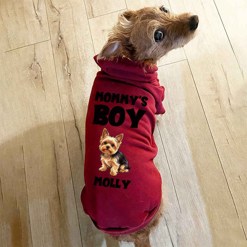 Personalized Funny Pet Portrait Hoodie | BKPet511