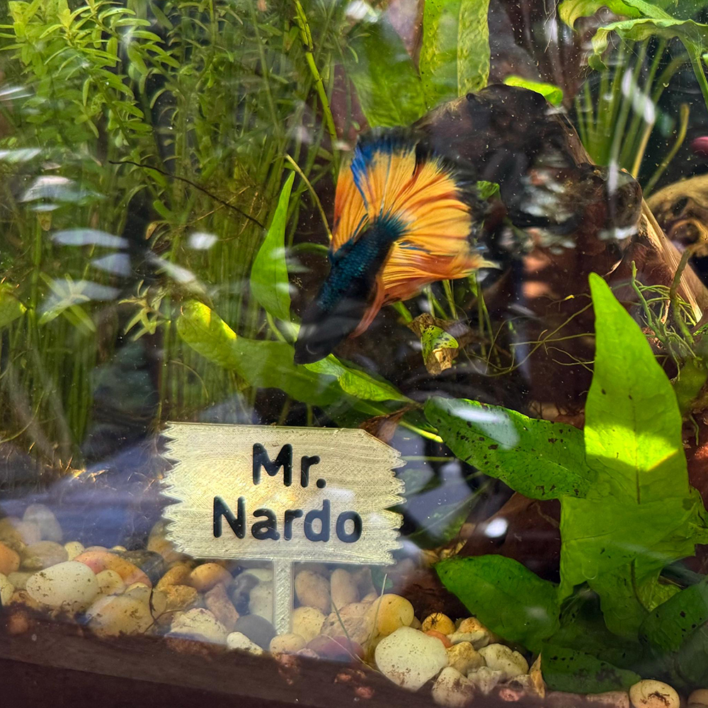 Personalized 3D Printed Forest Sign for Fishtanks | CWGift92