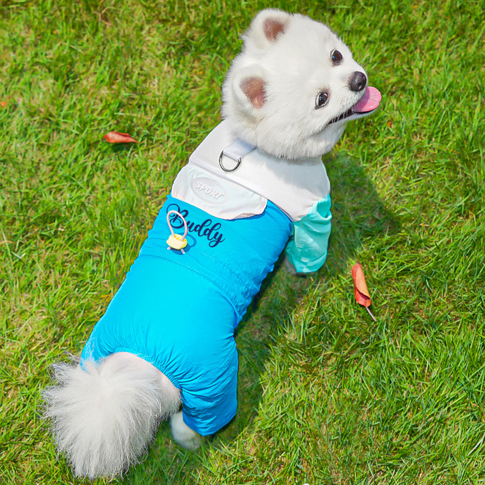 Personalized Pet Summer Cool And Breathable Shirt | BKPet563