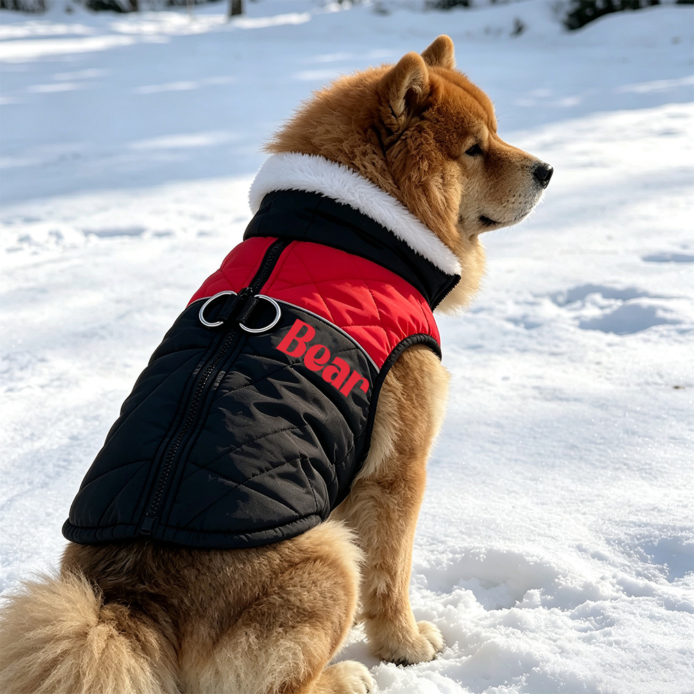 Personalized Winter Pet Fleece-Lined Color-Blocked Vest | BKPet597