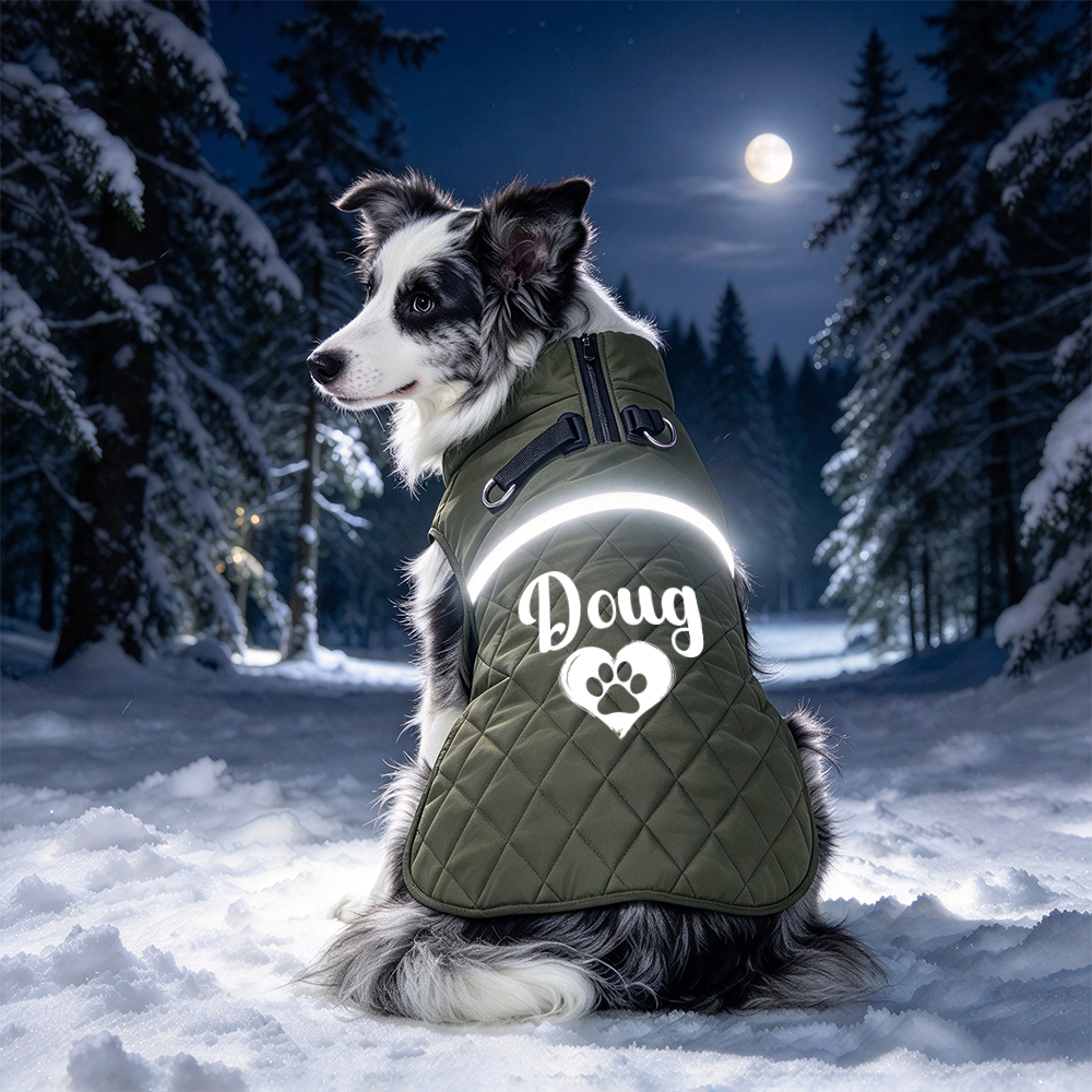 Personalized Winter Warm Windproof Puffer Jacket for Pets | BKPet615