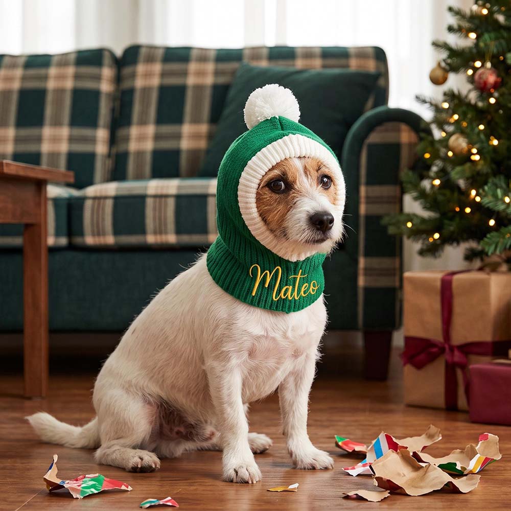 Personalized Embroidered Pets Christmas Knitted Pom Pom Snood Hat | MCGift446
