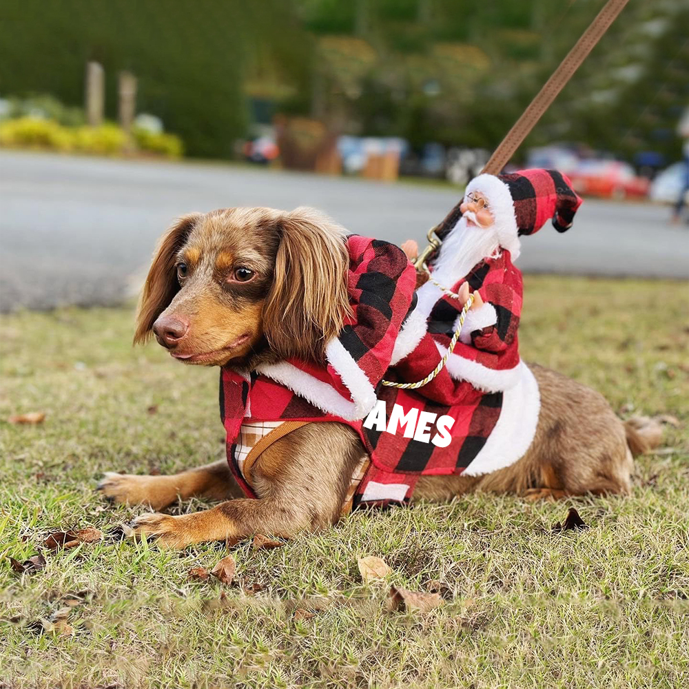 Personalized Christmas Santa Pet Riding Clothes | BKPet96