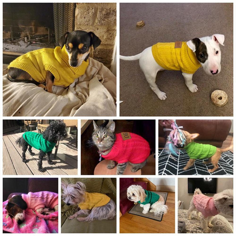 Personalized Leather Patch Pets Colourful Sweater | BKPet97