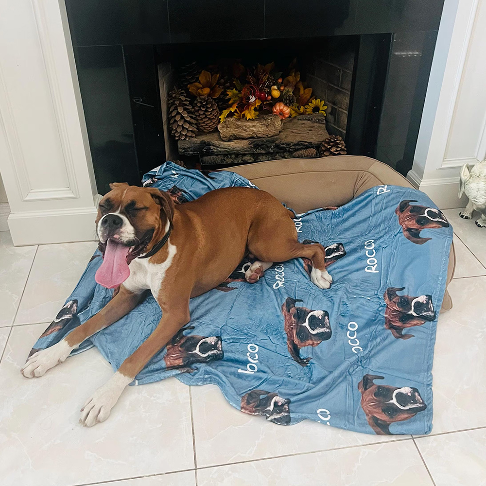 Personalized Lovely Pet Blanket for Comfort & Unique | BKPet111