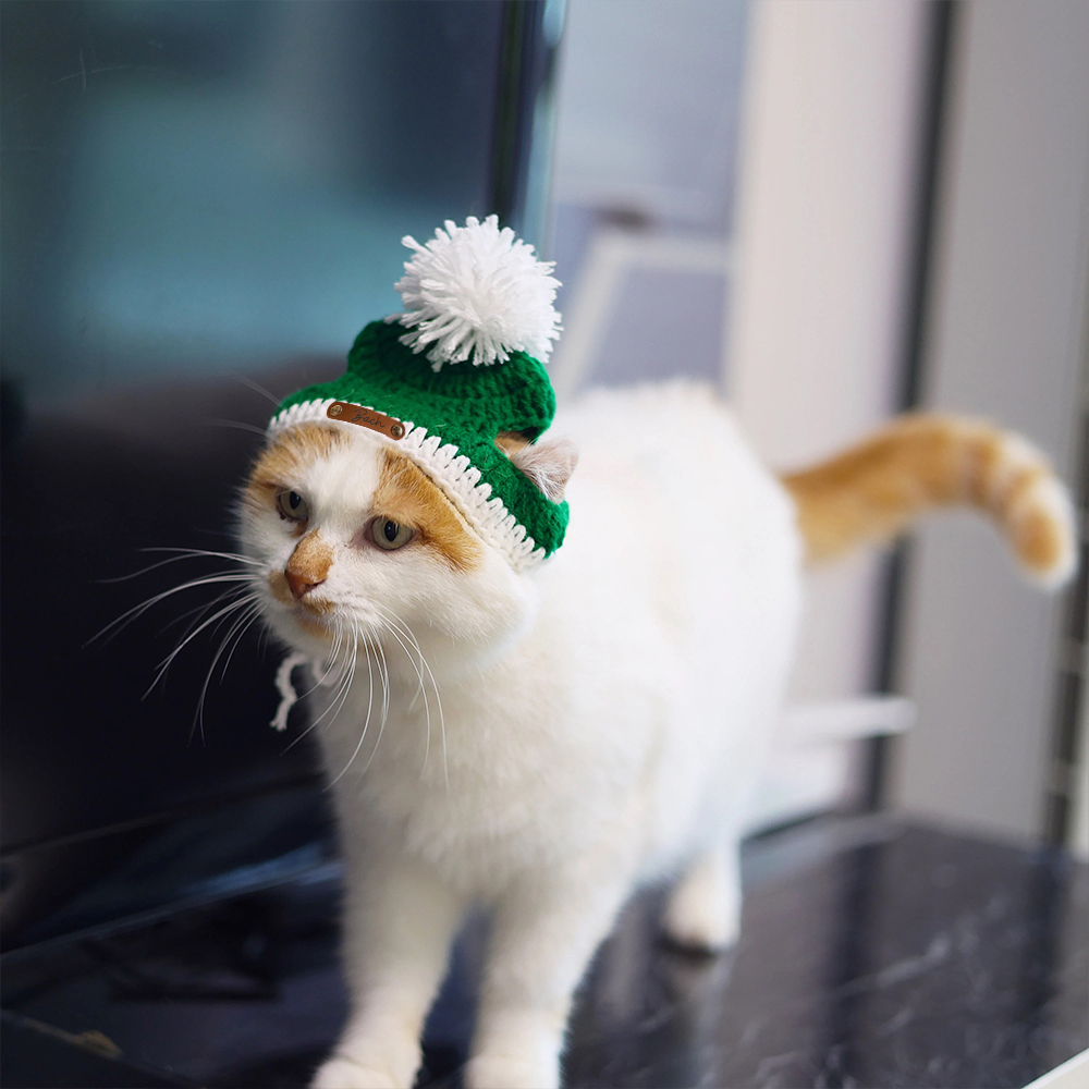 Personalized Leather Patch Crochet Christmas Pet Hat | MCGift86