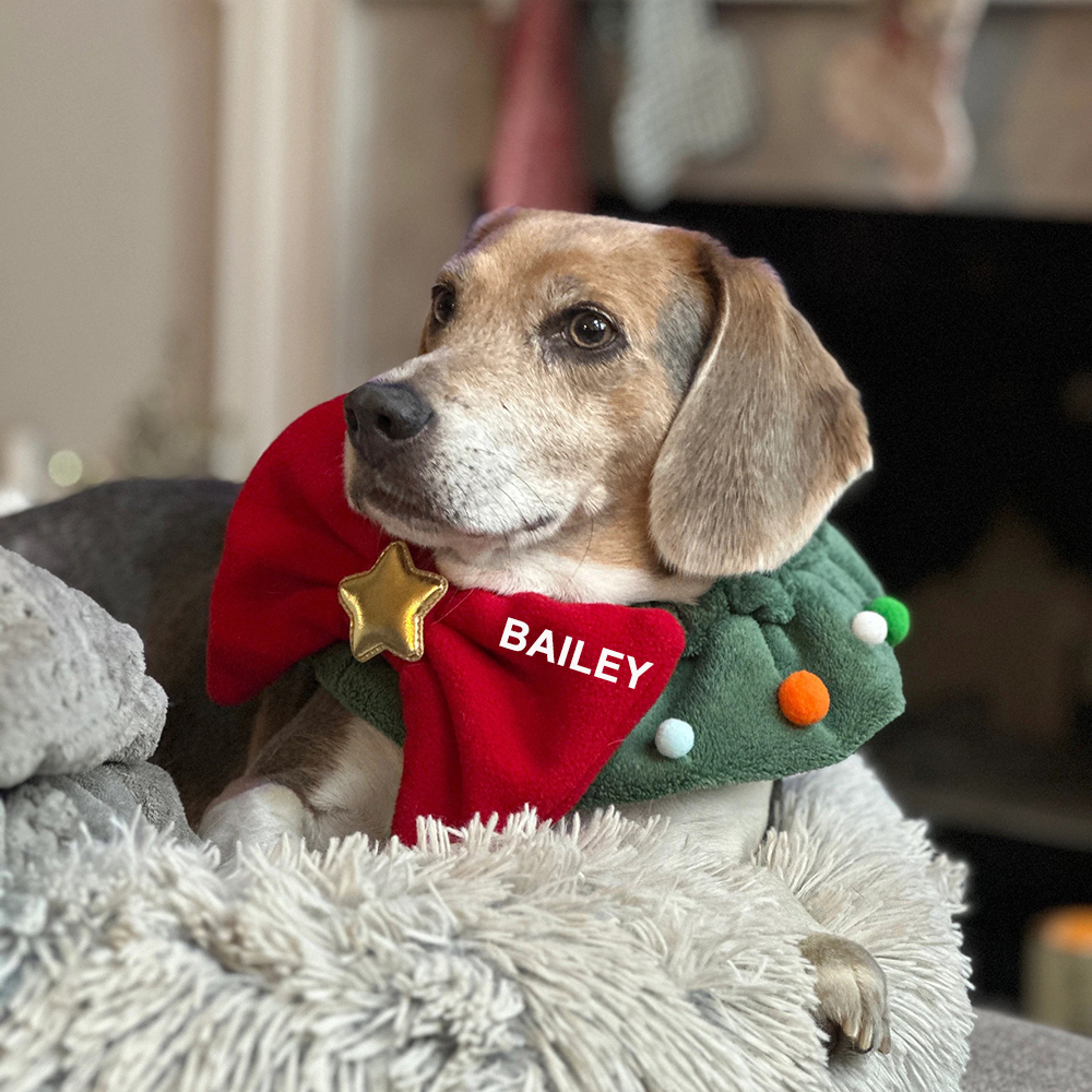 Personalized Funny Christmas Pet Bow Tie Scarf | MCGift110