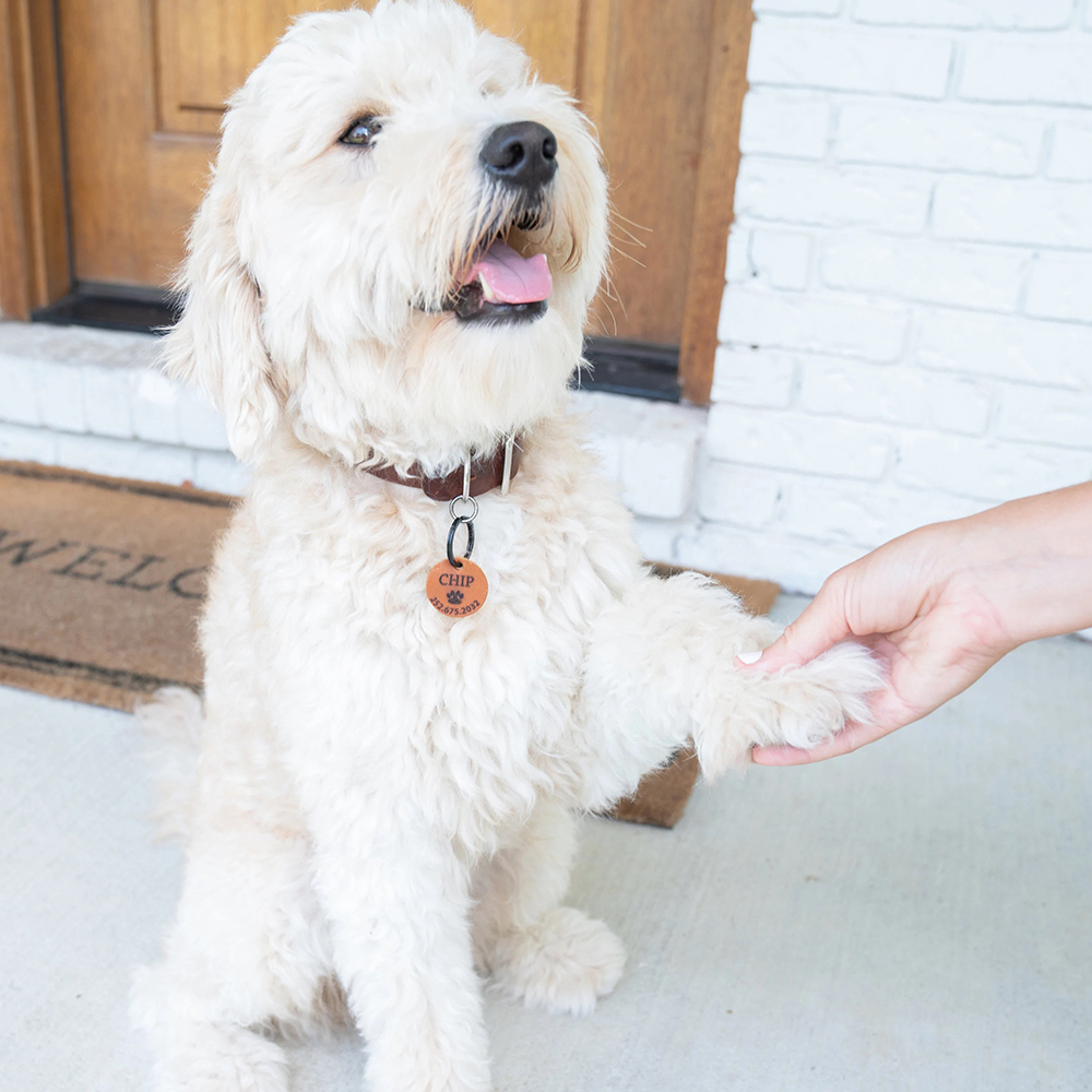 Personalized Handmade Silent Leather Pet ID Tag | BKPet145