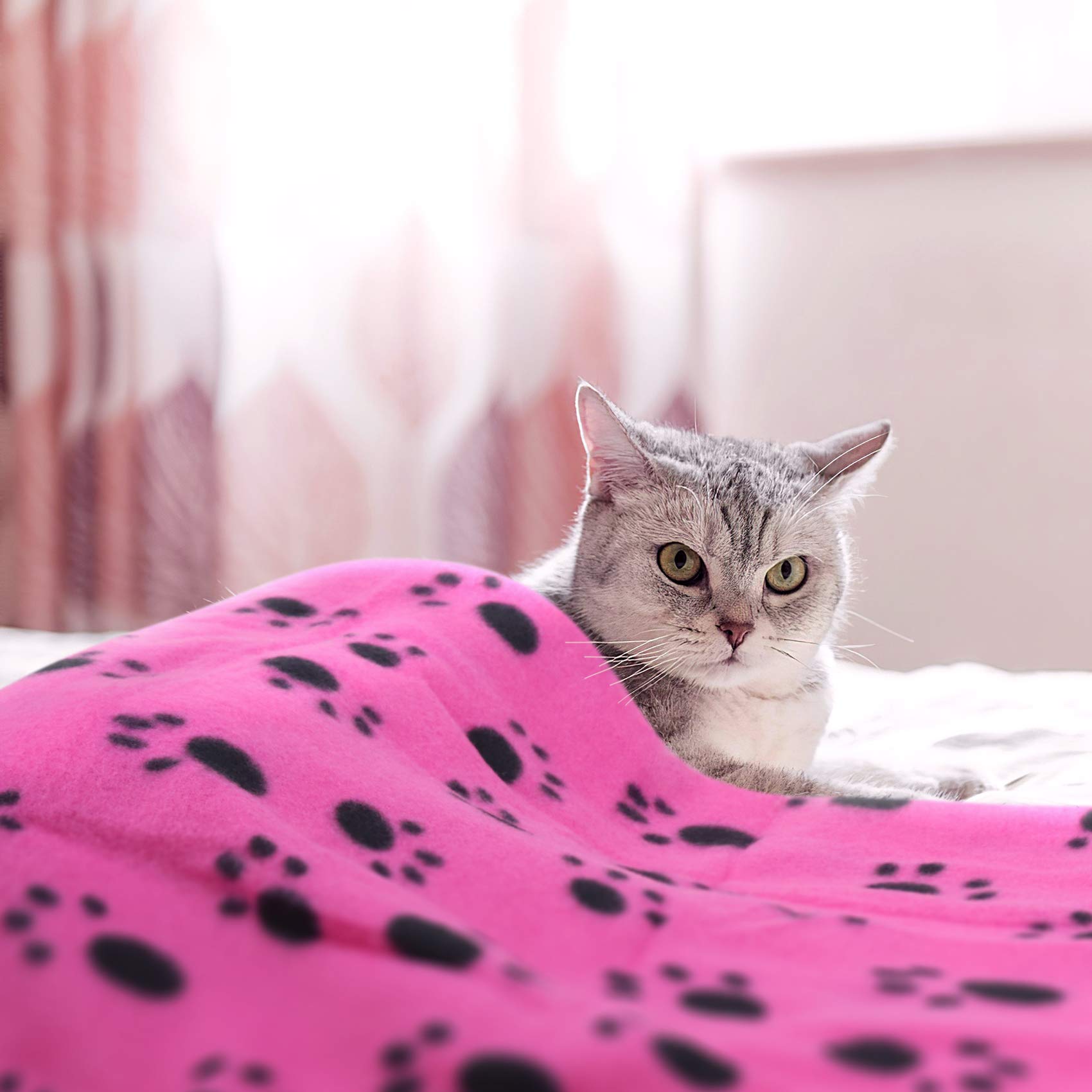 Personalized Warm Pet Blanket for Comfort & Unique | BKPet40