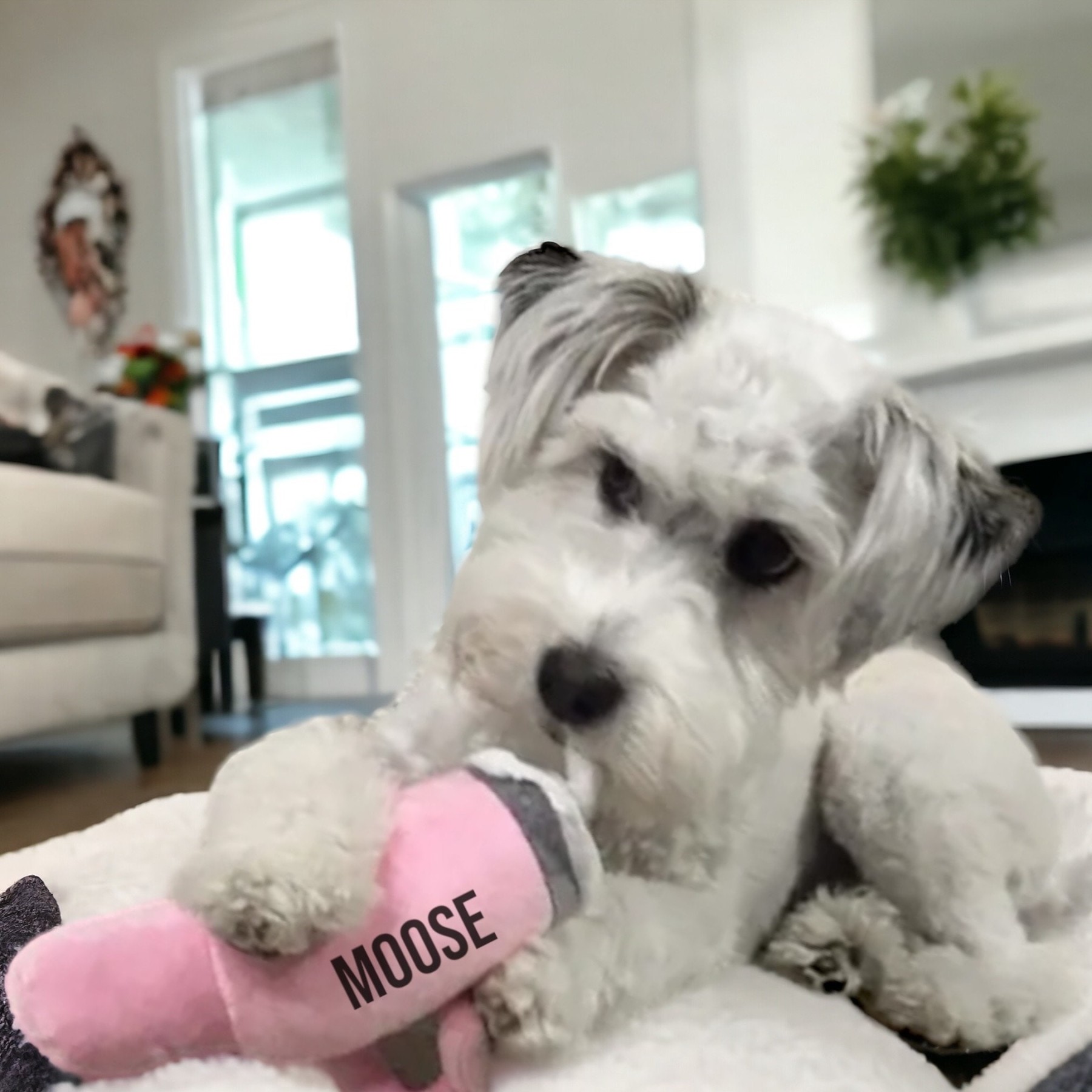 Personalized Tumbler Pet Squeaky Toy | BKPet86