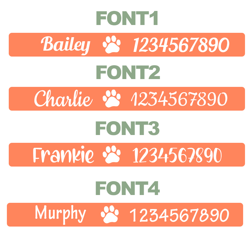 Personalized Embroidered Pet Collar for Funny & Unique | BKPet37