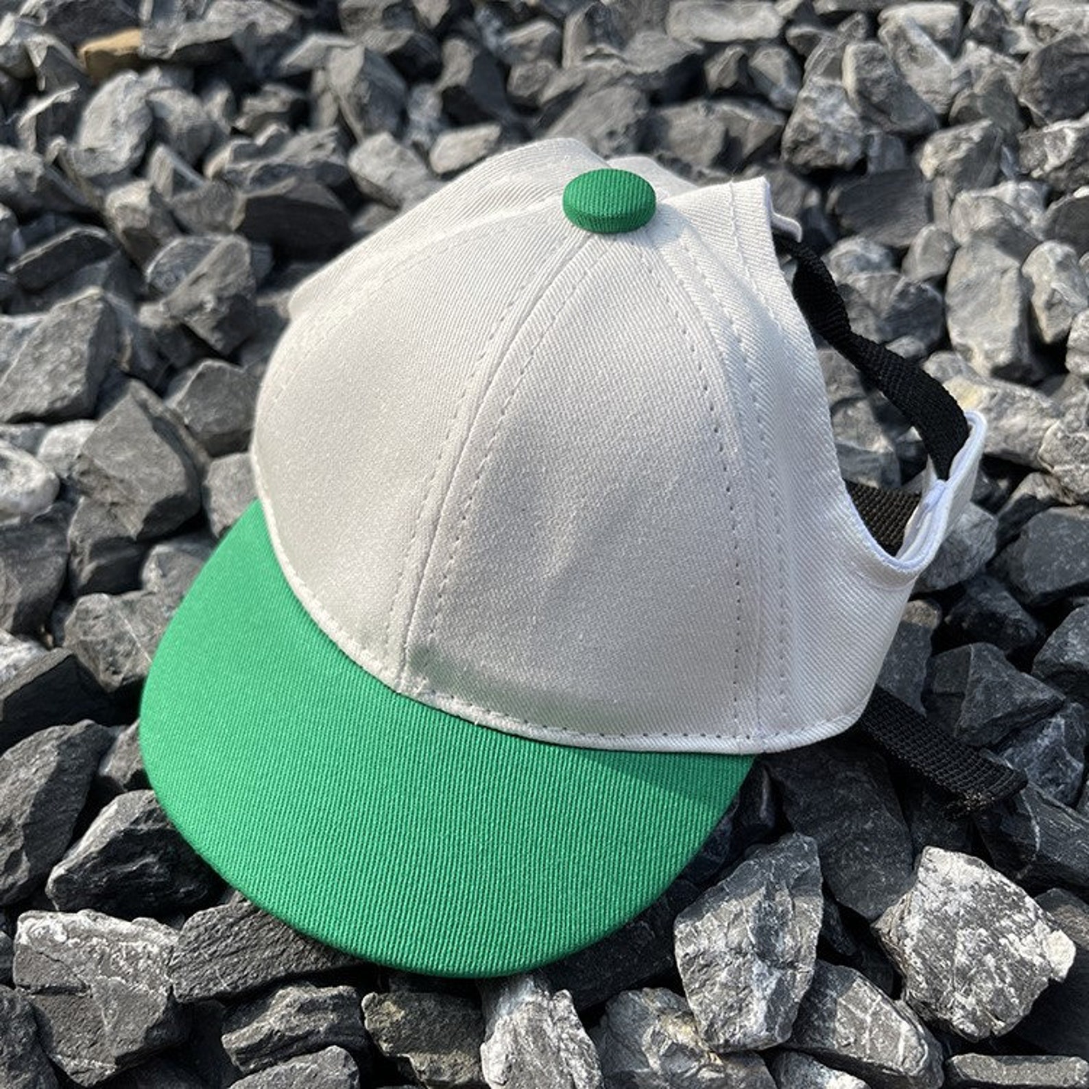 Personalized Embroidery Pet Baseball Cap with Ear Holes | CWPet27