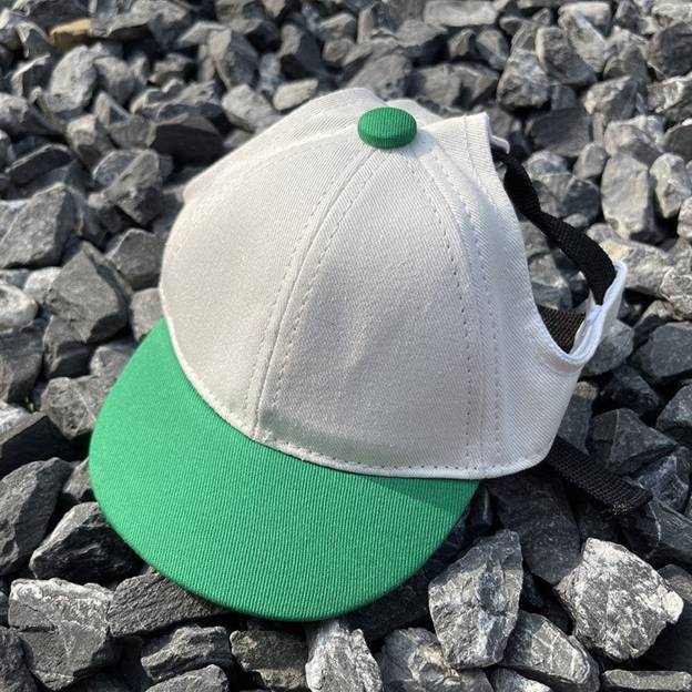 Personalized Embroidery Pet Baseball Cap with Ear Holes | CWPet27