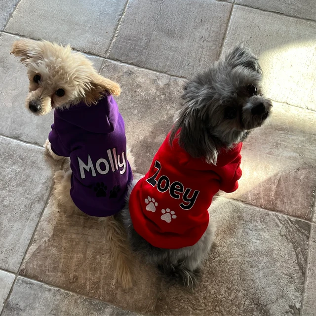 Personalized Warm Puppy Hoodie for Comfort & Unique | BKPet28