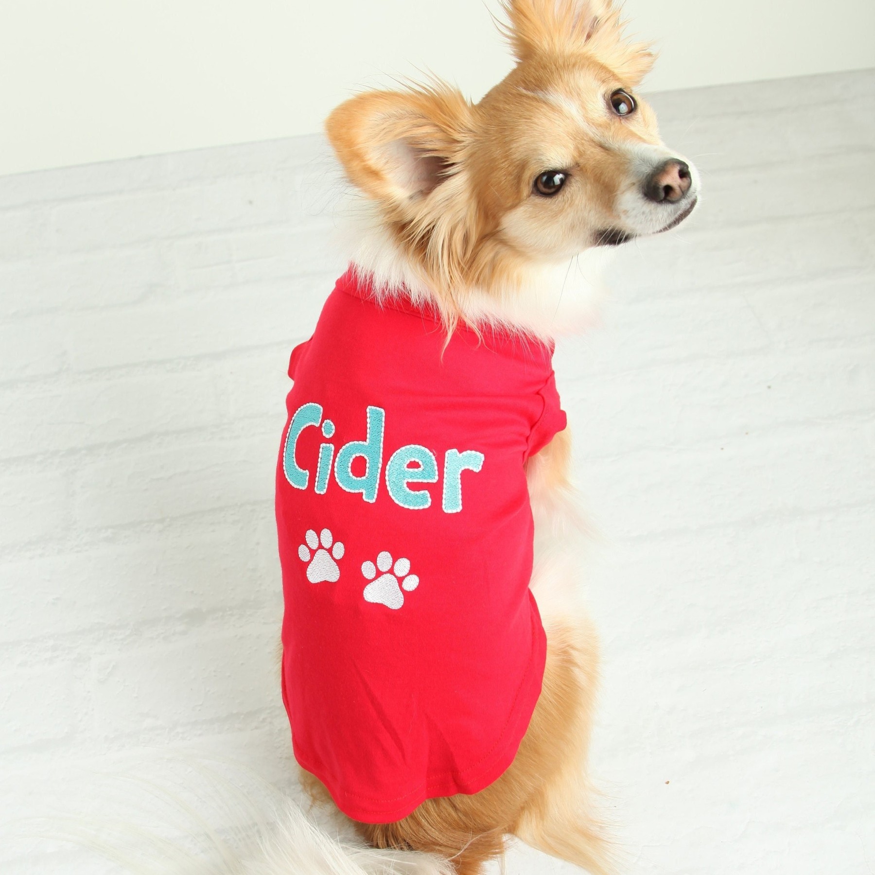 Personalized Soft Puppy Shirt for Comfort & Unique | BKPet50