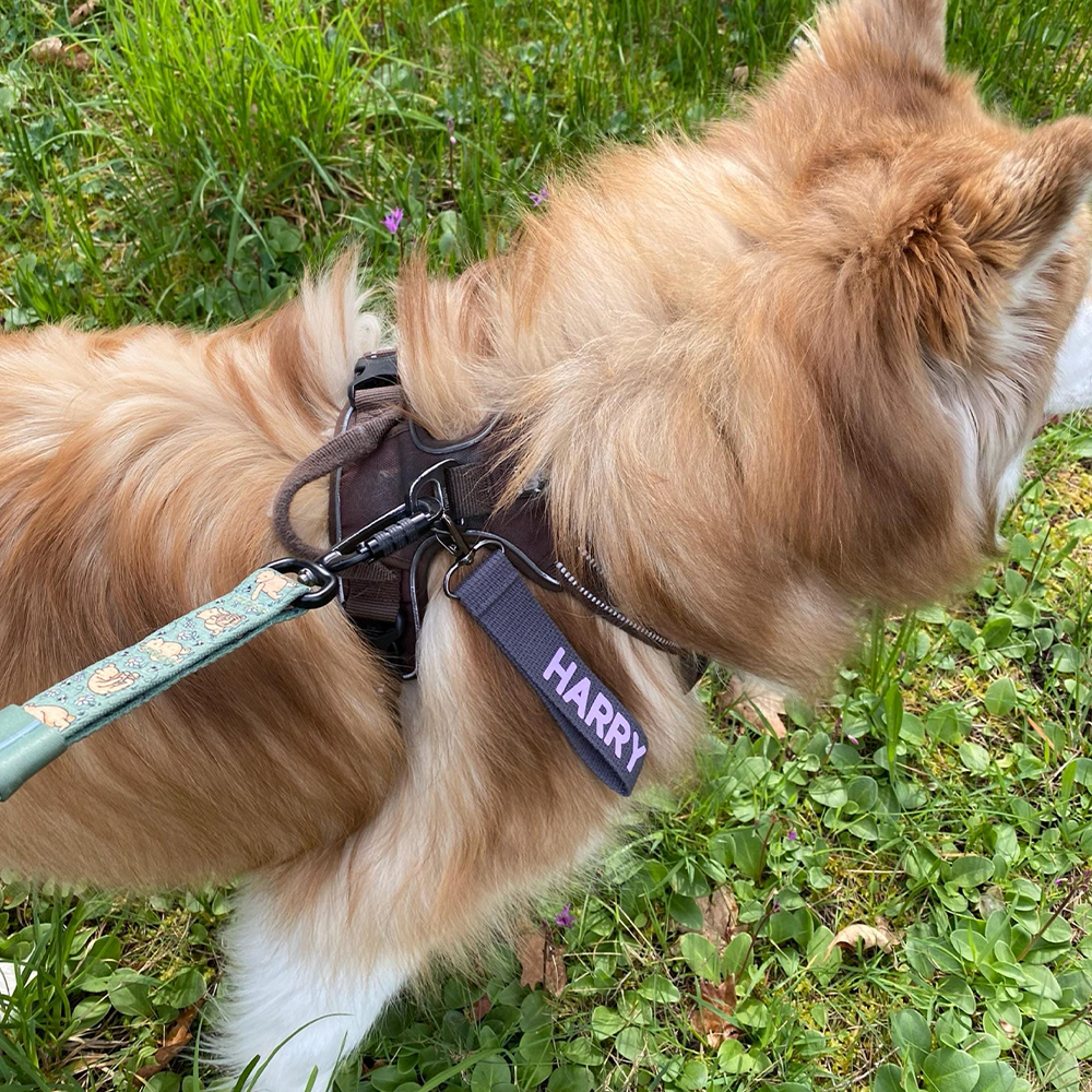 Personalized Colourful Webbing Name Tag | CWToy139