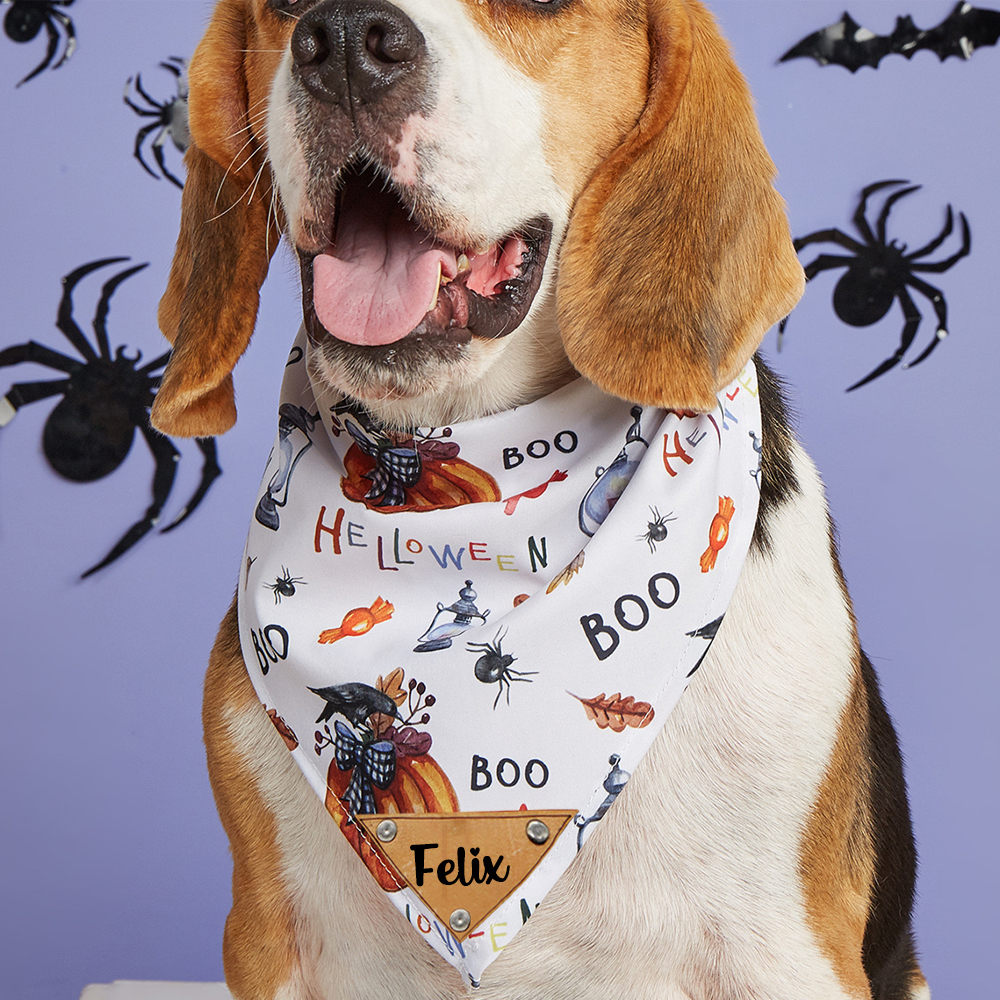 Personalized Halloween Dog Bandana for Comfort & Unique | CWHalloween57