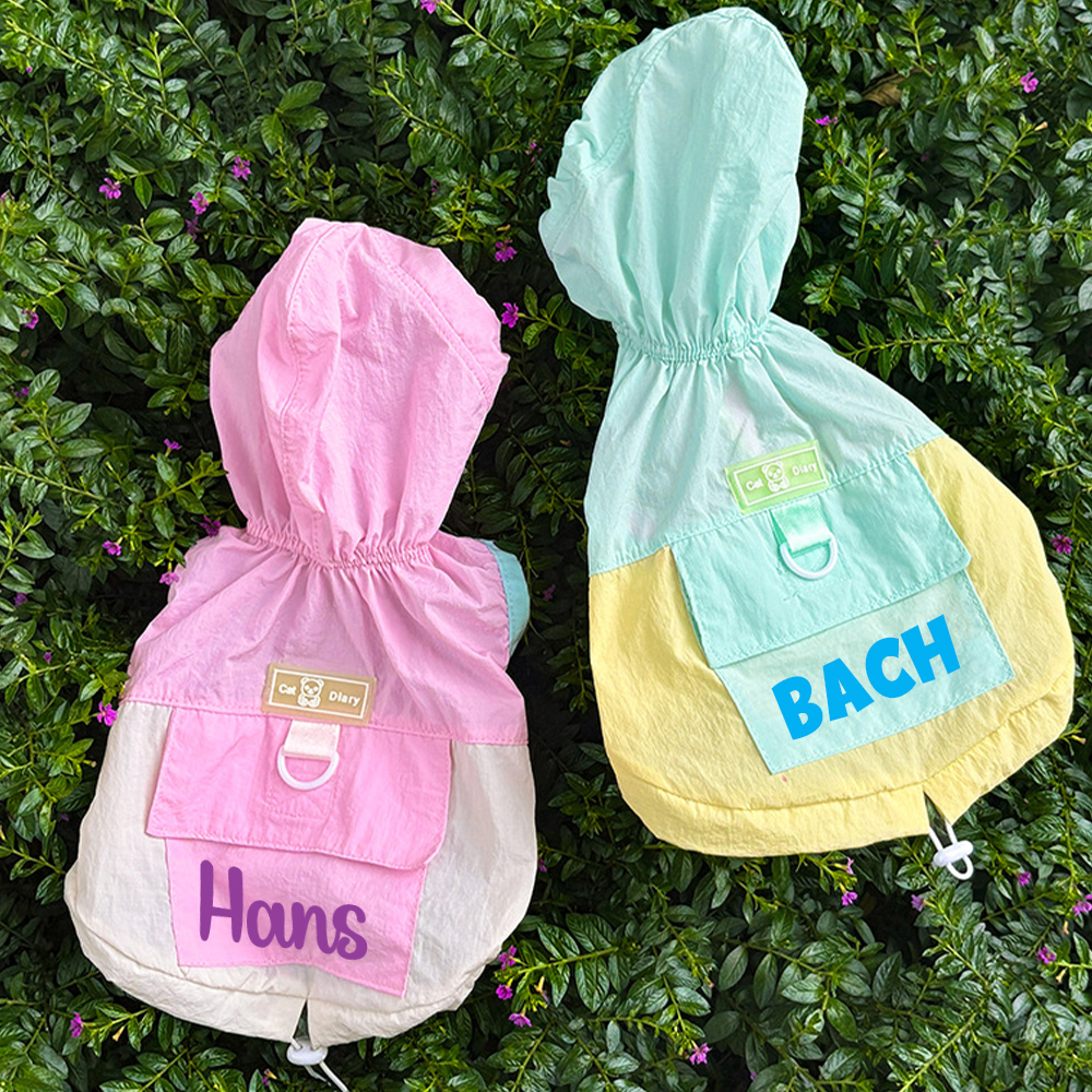 Personalized Cute Color Block Pet Summer Hoodie | BKPet207