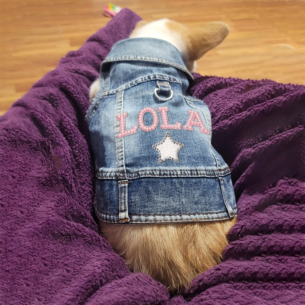 Personalized Handmade Pearl Patch Pets Denim Jacket | BKPet2602