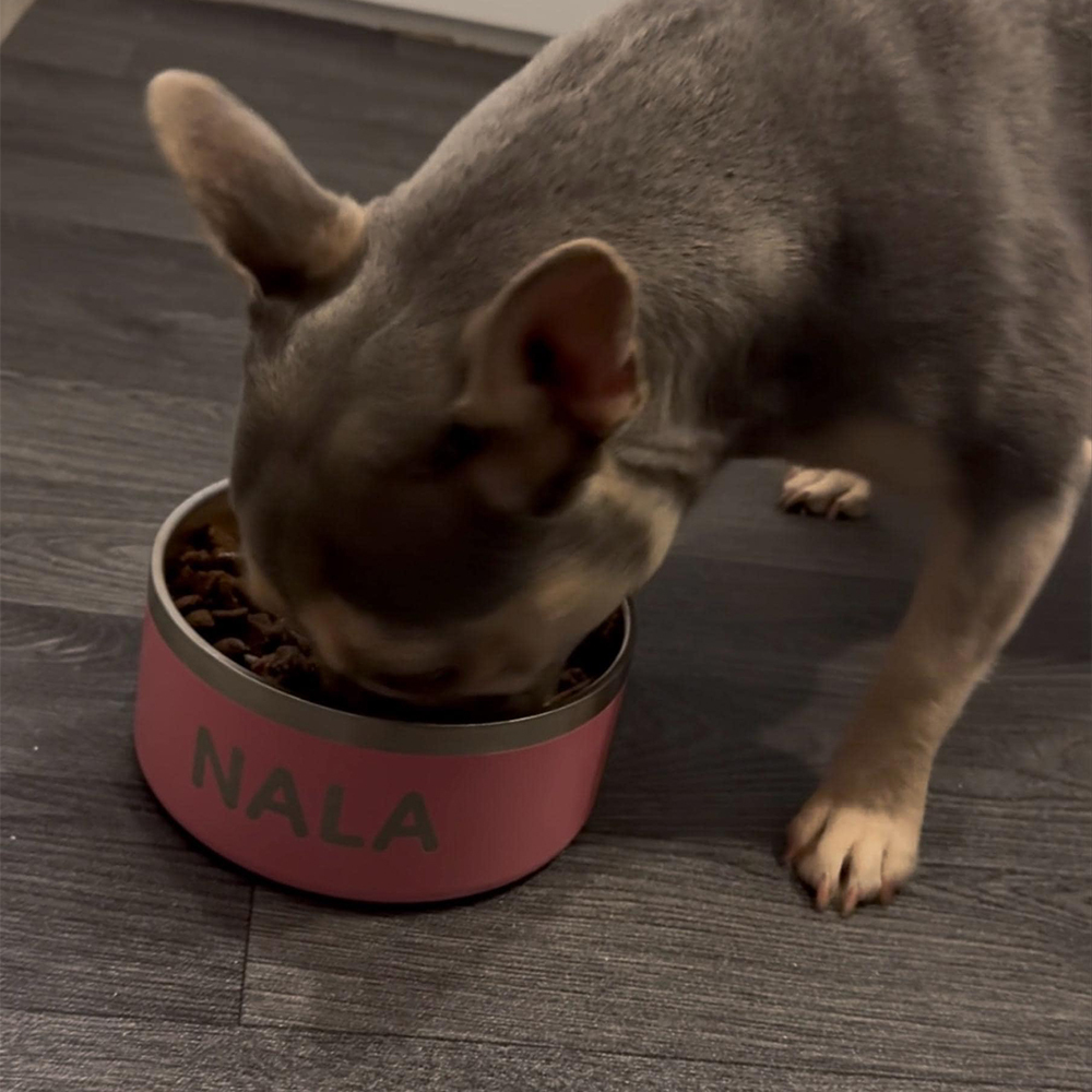 Personalized Stainless Steel Pet Food Bowl | BKPet229