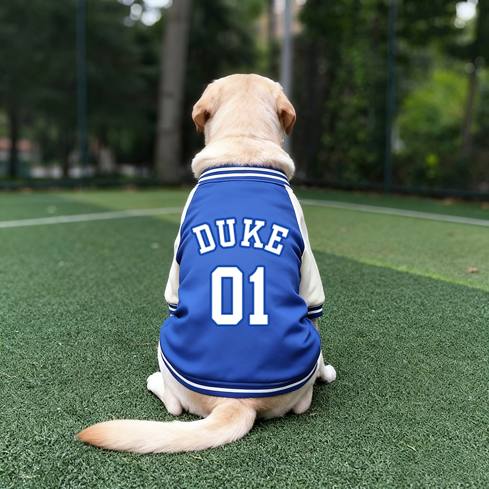 Personalized Pet Large Baseball Jacket | BKPet250