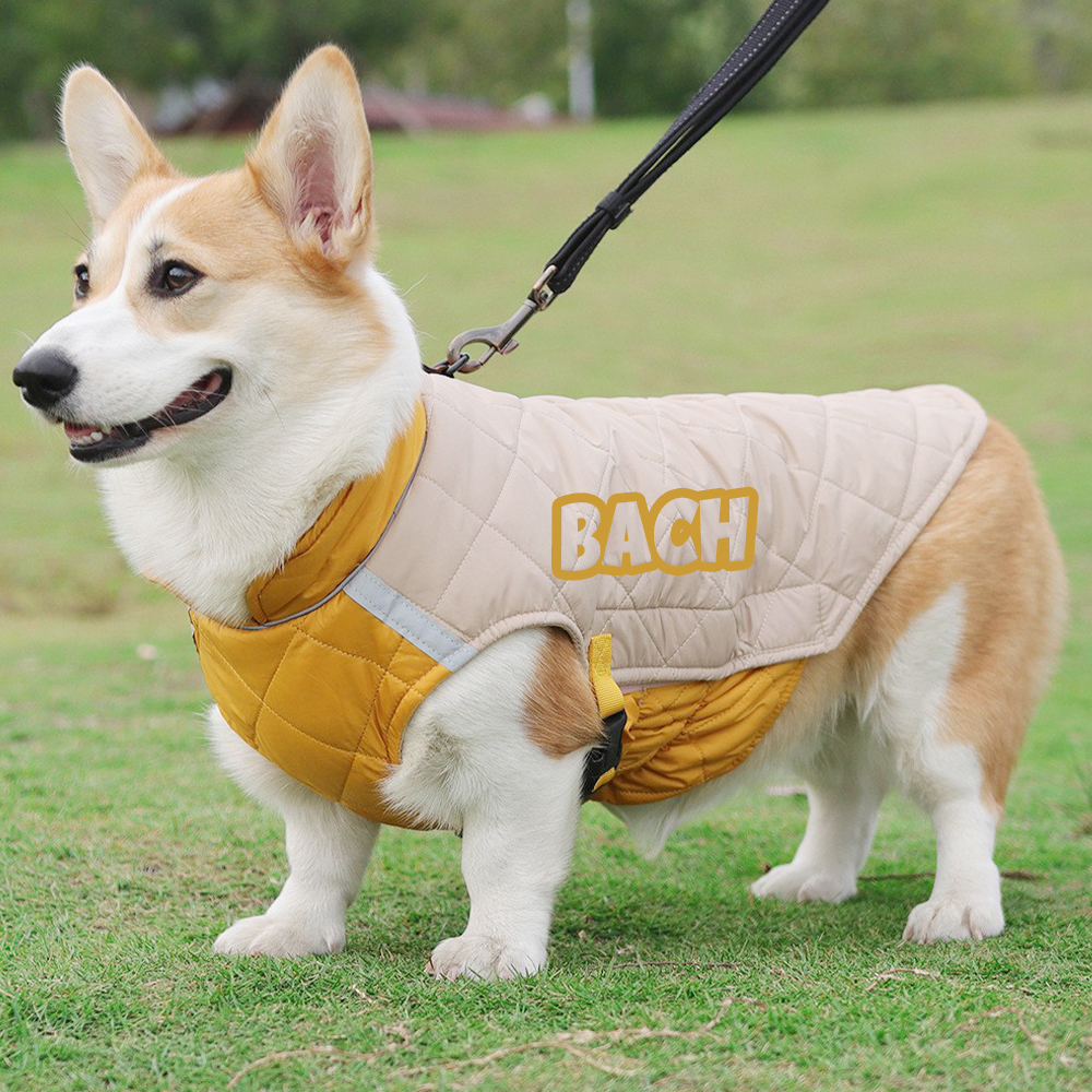 Personalized Pet Winter Warm Reflective Safety Puffer Vest | BKPet274