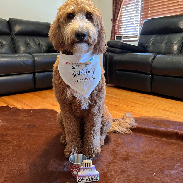 Personalized Pet Stainless Steel Reusable Pup Cup Mug | BKPet26301