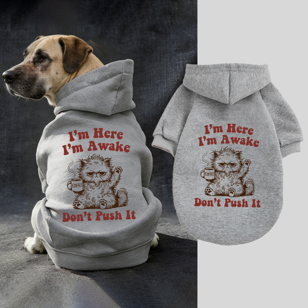 I'M HERE I'M AWAKE DON'T PUSH IT Puppy Hoodie | BKPet328