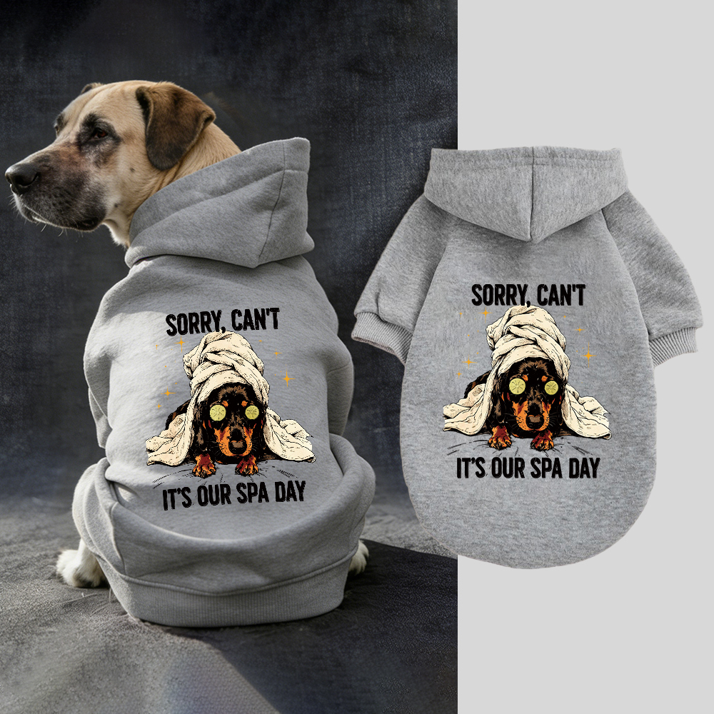 IT'S OUR SPA DAY Puppy Hoodie | BKPet339