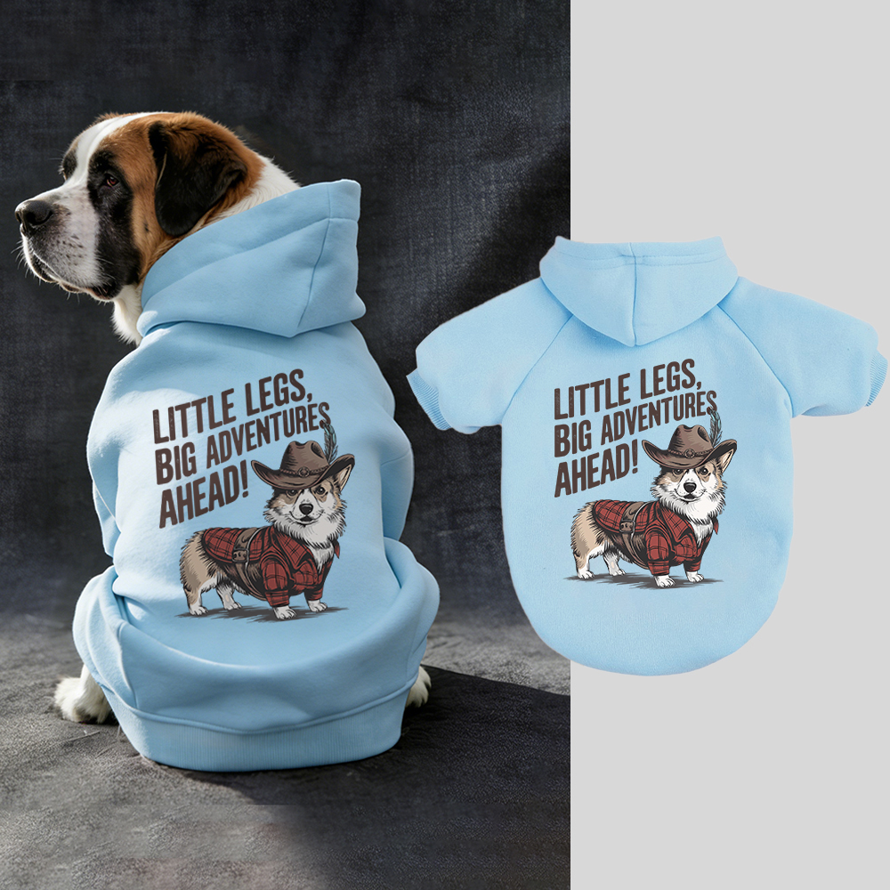 LITTLE LEGS BIG ADVENTURES AHEAD Puppy Hoodie | BKPet341