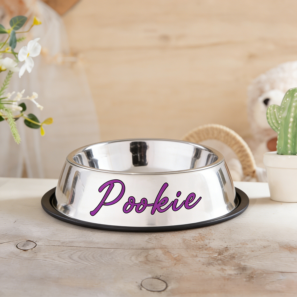 Personalized Pet Stainless Steel Anti-slip Food Bowl | BKPet367