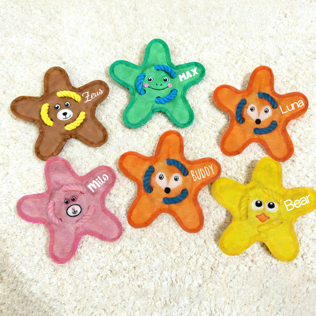 Personalized Star Flying Disc Squeaky Dog Toy | BKPet386