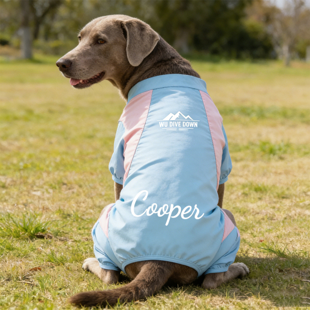 Personalized All-season Large Size  Puppy Shirt | BKPet413