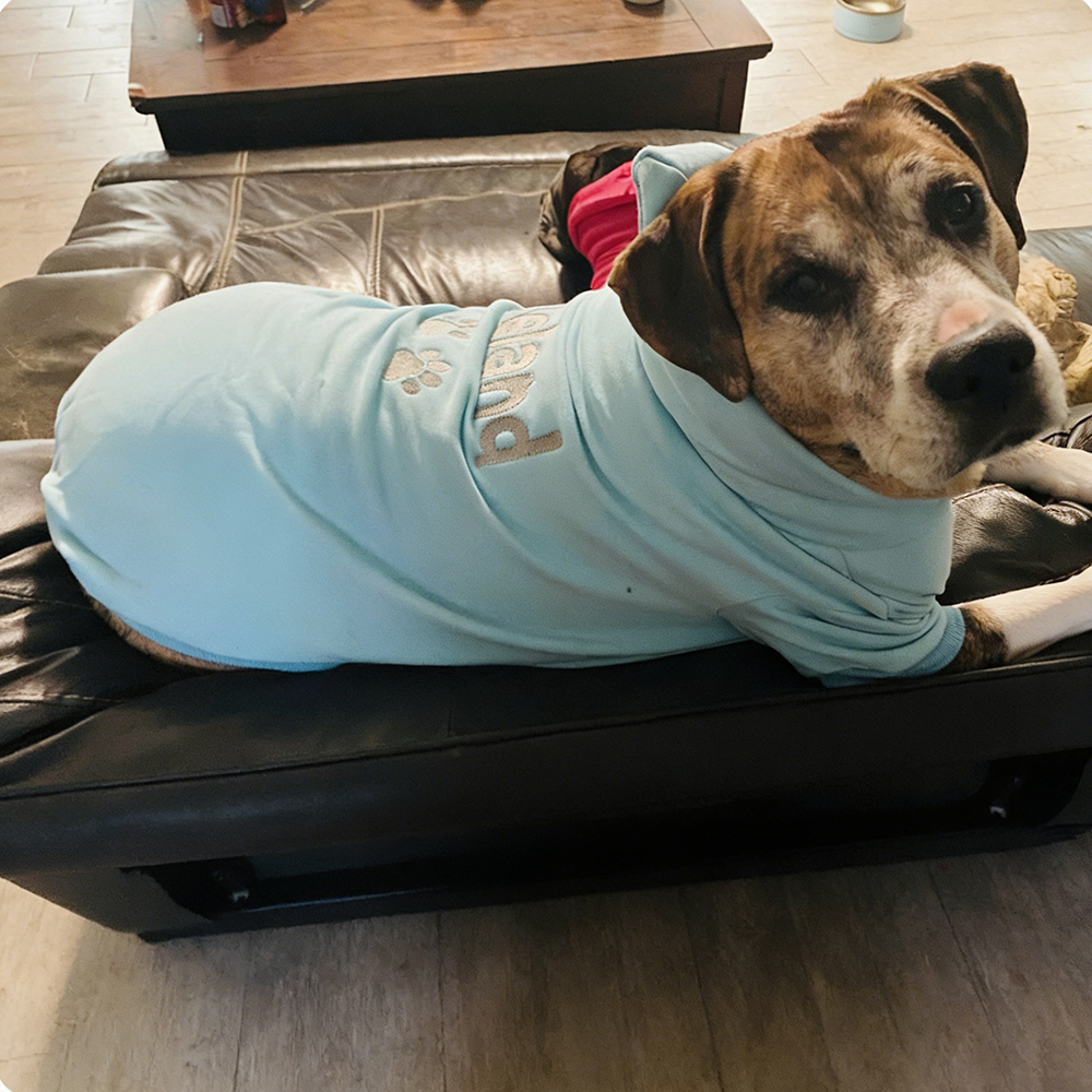 Personalized Embroidered Pet Comfortable Soft Hoodie | BKPet419