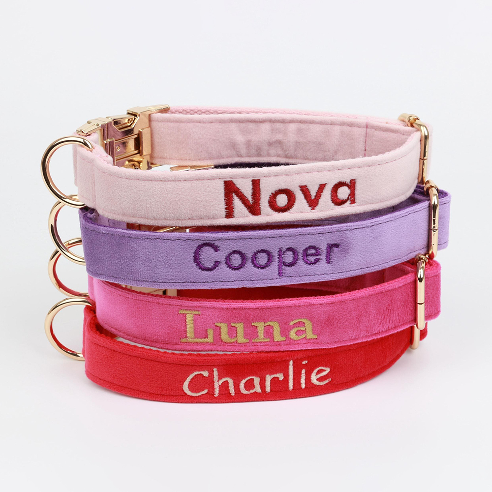 Personalized Embroidered Adjustable Velvet Pet Collar | BKPet425