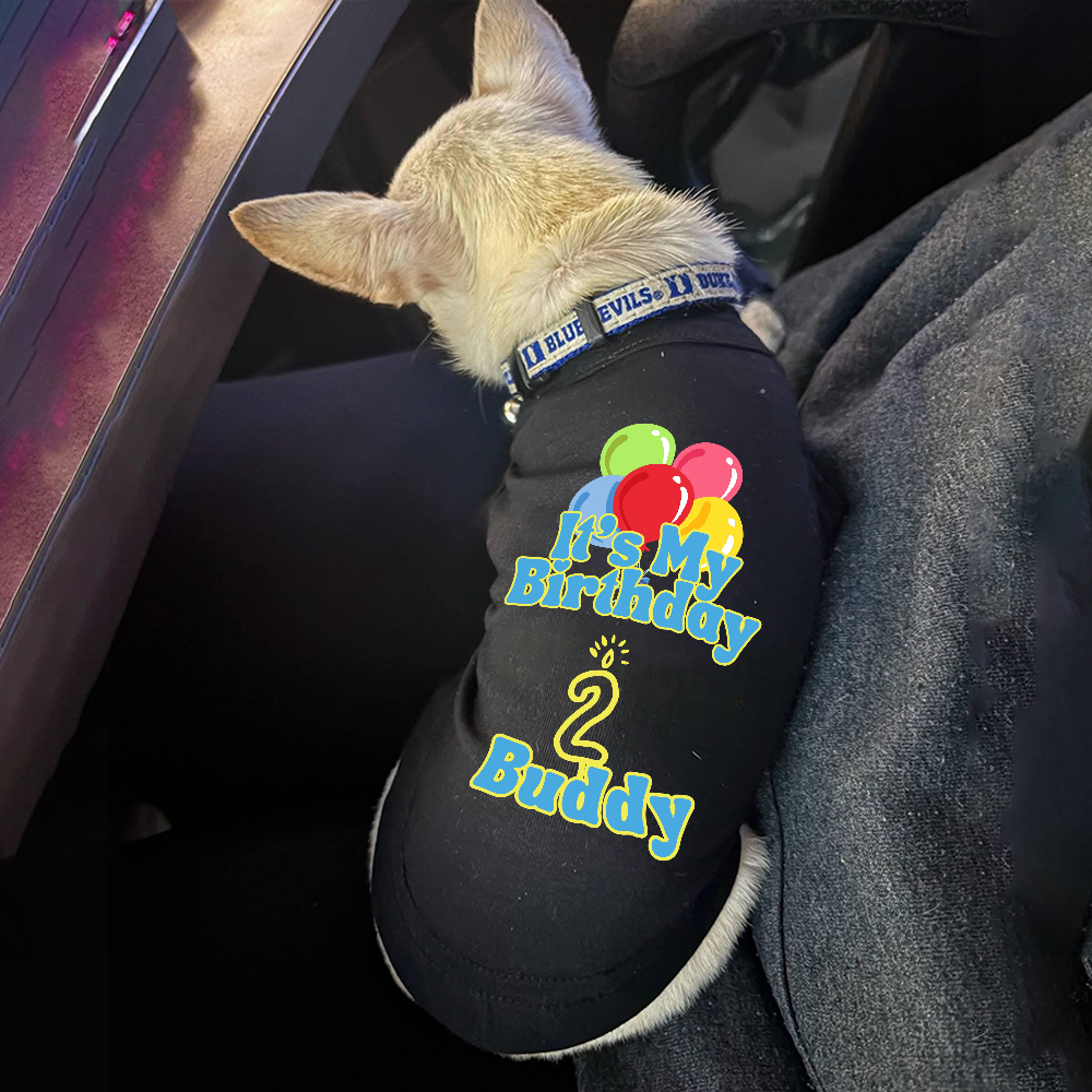 Personalized It’s My Birthday Pet Shirt | BKPet449