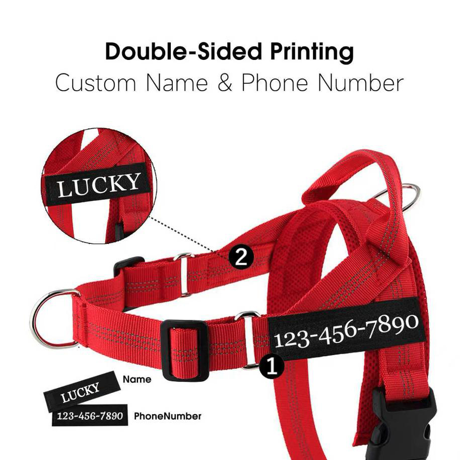 Personalized Embroidered Dog Harness & Leash Set | BKPet462