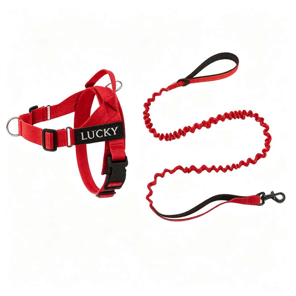 Personalized Embroidered Dog Harness & Leash Set | BKPet462
