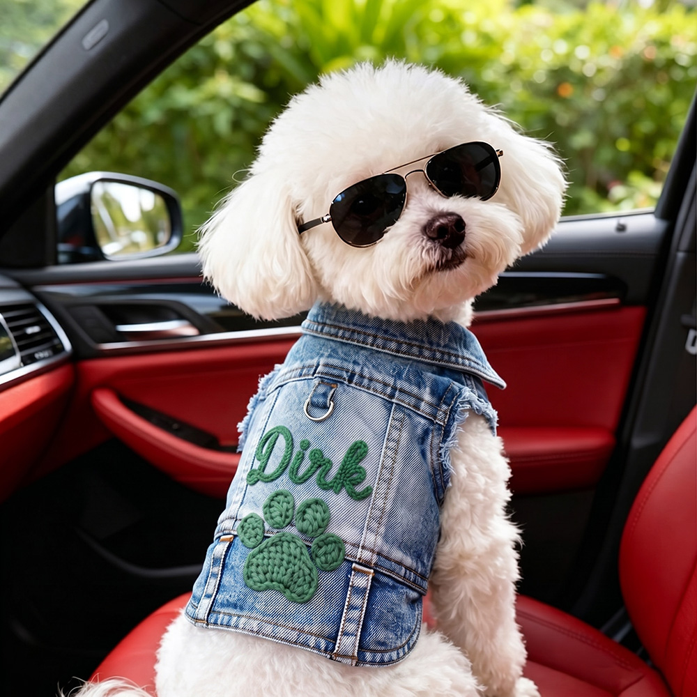 Personalized Hand Embroidered Pet Denim Jacket | BKPet542