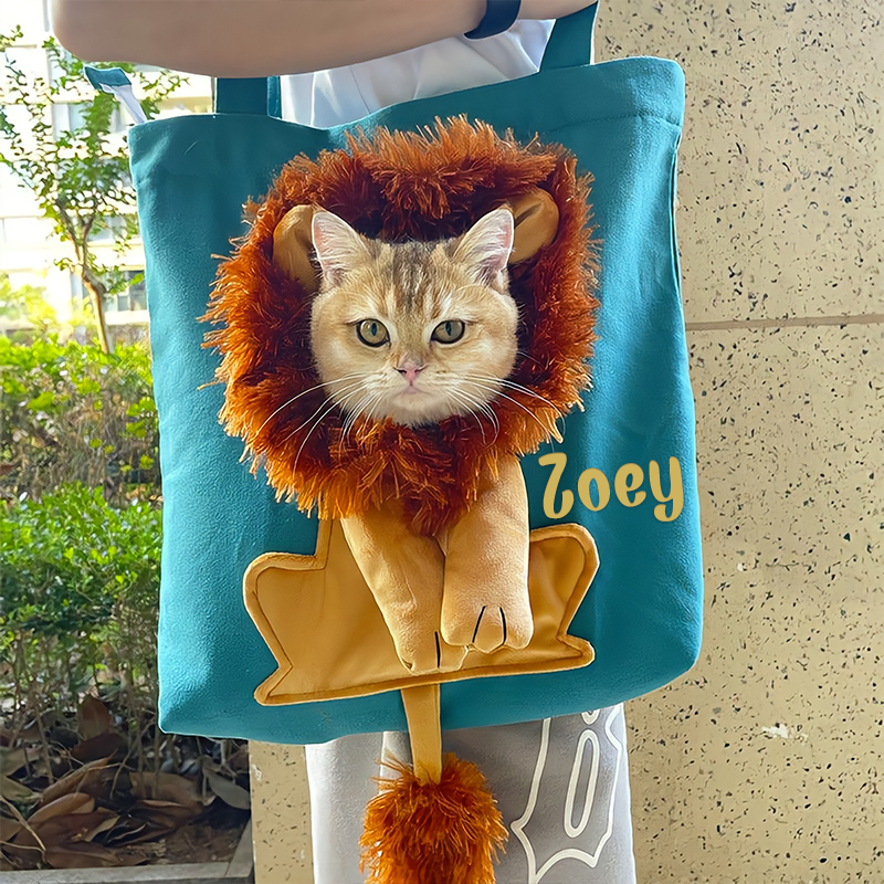 Personalized Lion Design Portable Breathable Cute Pet Carriers | BKPet60