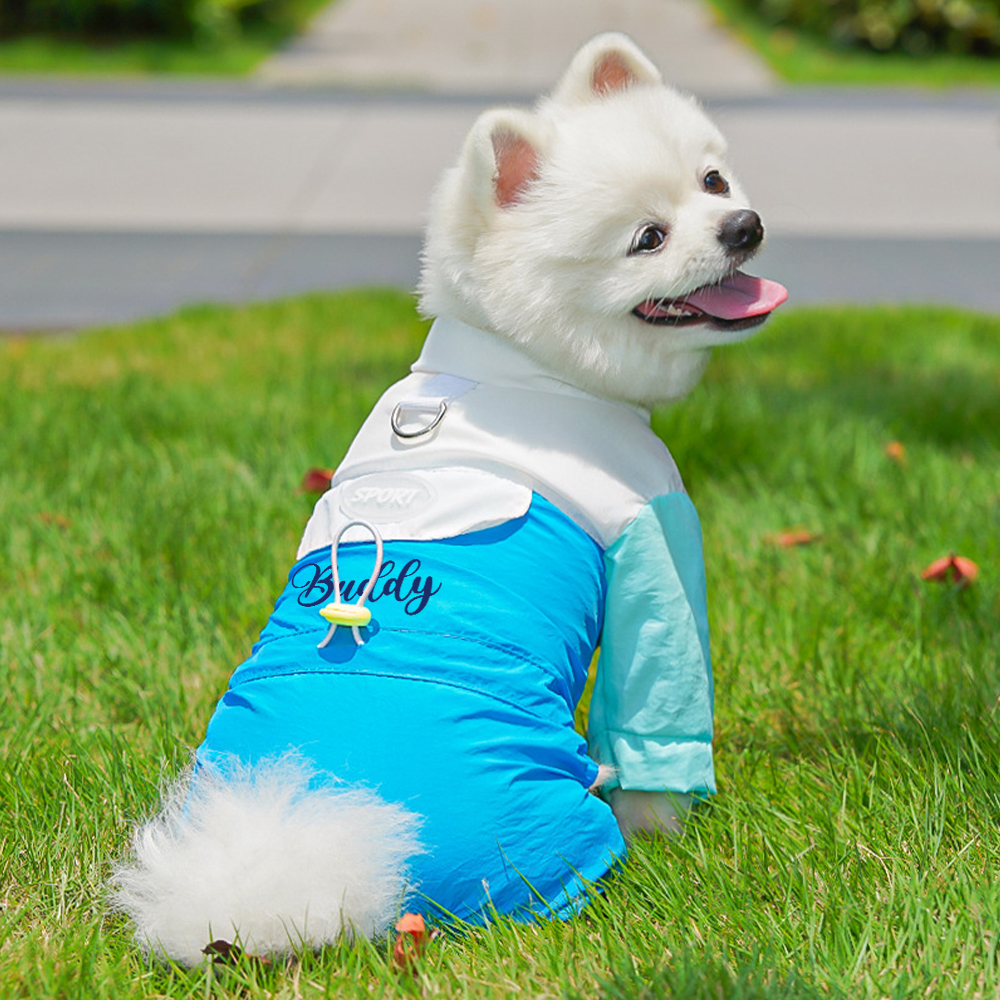 Personalized Pet Summer Cool And Breathable Shirt | BKPet563