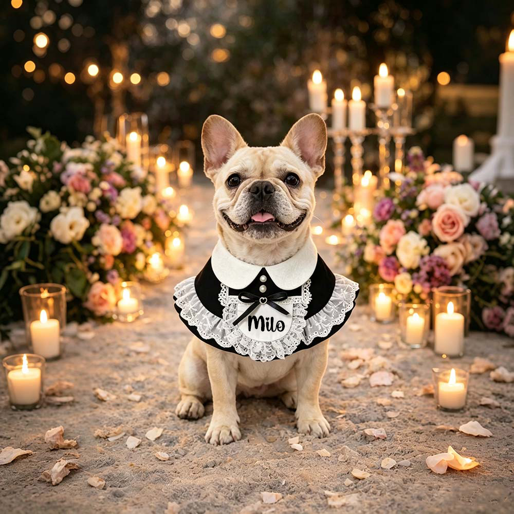 Personalized Wedding Pet Cute Little Maid Bow Bib | BKPet566