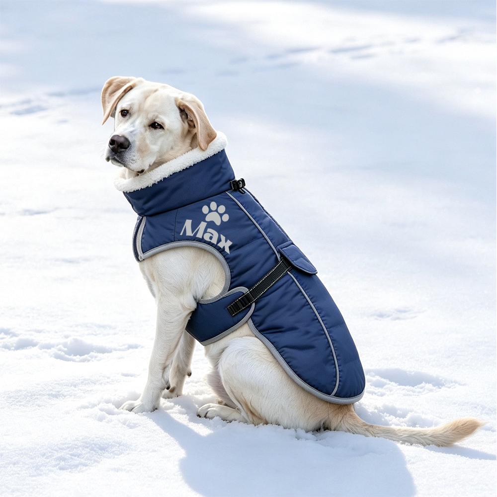 Personalized Winter Warm & Waterproof Cotton Coat For Pets | BKPet595