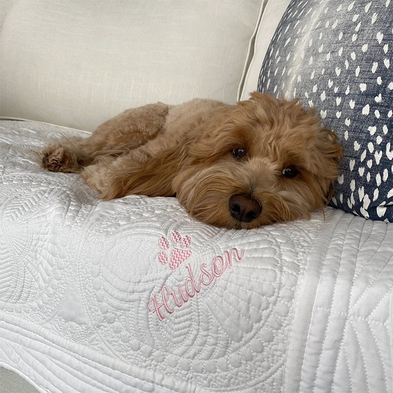 Personalized Embroidered Pet Blanket for Comfort & Unique | BKPet72