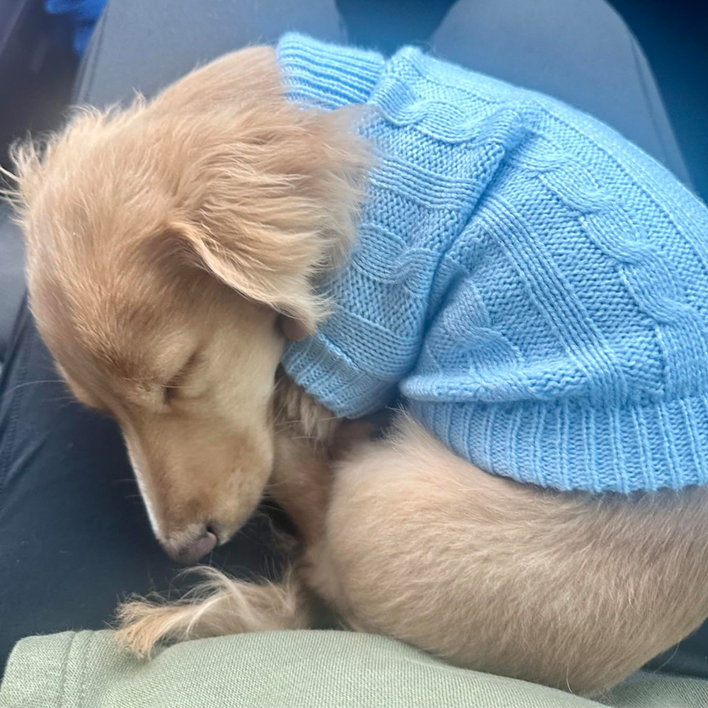 Personalized Leather Patch Pets Colourful Sweater | BKPet97