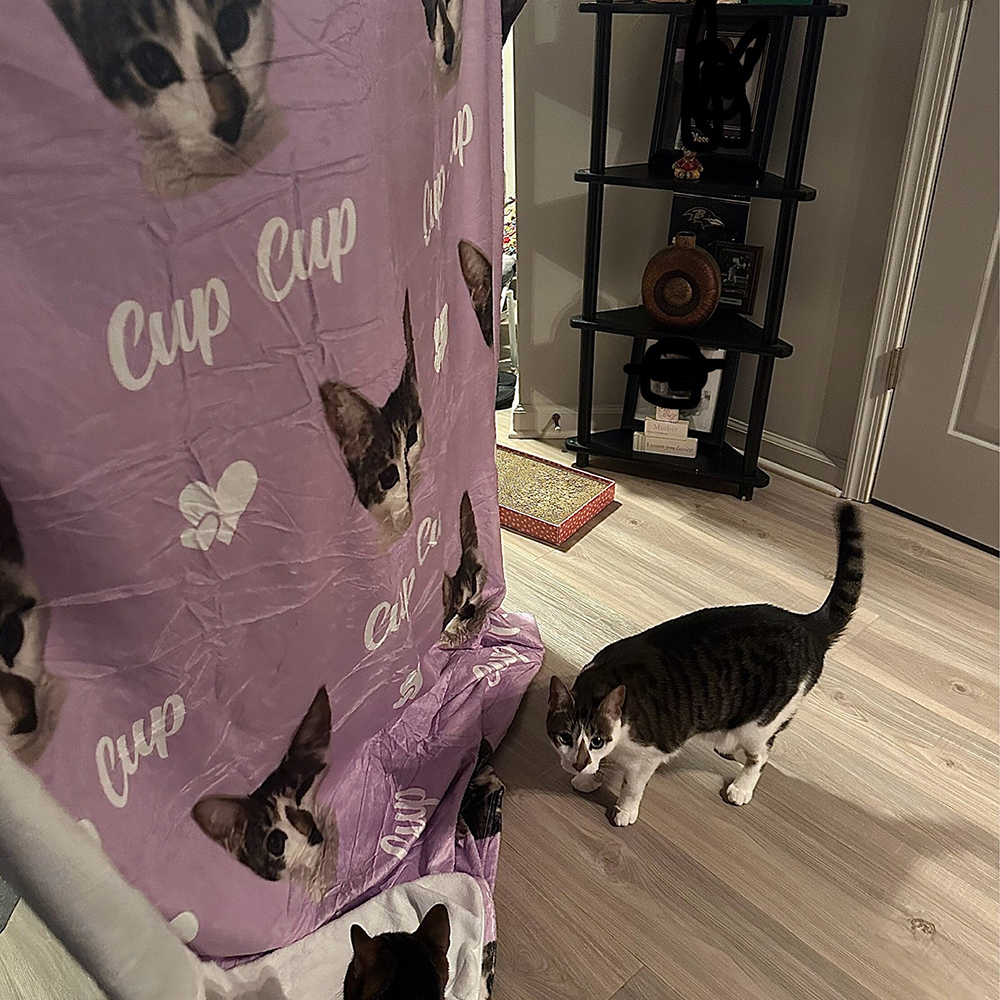 Personalized Lovely Pet Blanket for Comfort & Unique | BKPet111