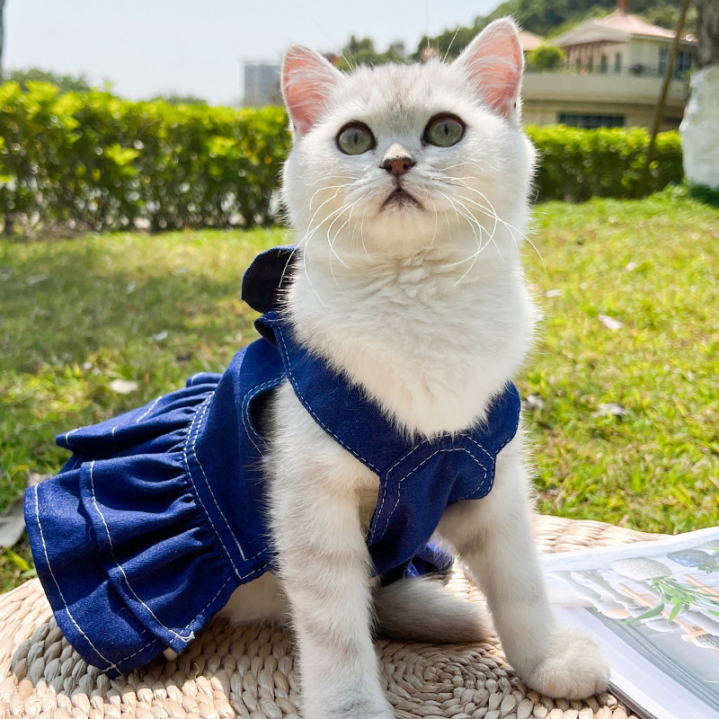 Personalized Leather Patch Pets Denim Skirt | BKPet135