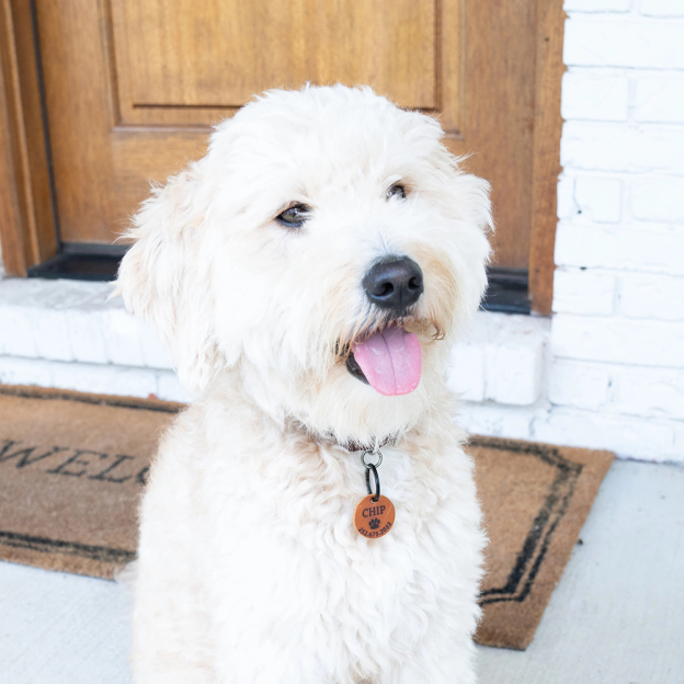 Personalized Handmade Silent Leather Pet ID Tag | BKPet145