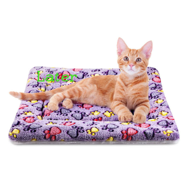 Personalized Lovely Pet Bed Mat for Comfort & Unique | BKPet29